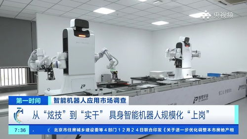 200元一天就能帶個機器人回家，具身智能加速走進生活與工廠——廣西軟件開發的機遇與挑戰